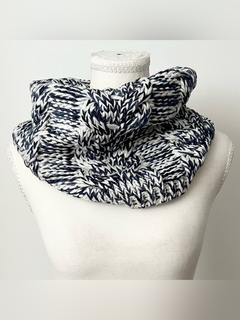 Gap Women's Tube Scarf Snood Chunky Cable Knit Blue White Ski Winter Neck Gaiter